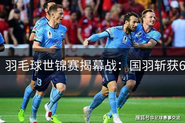 羽毛球世锦赛揭幕战：国羽斩获6胜 单打遭遇两场失利